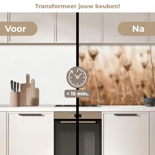 Schermbloem - Droogbloem - Winter - Beige - Minimalistisch keuken achterwand 2 middel -voor-na2_NL