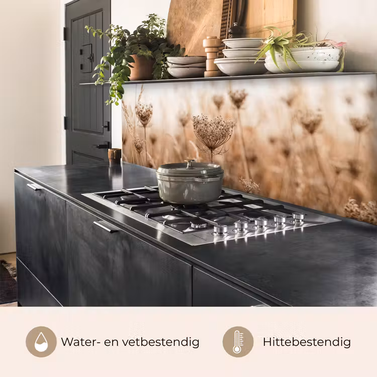 Schermbloem - Droogbloem - Winter - Beige - Minimalistisch keuken achterwand 2 middel -usp_NL