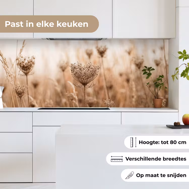 Schermbloem - Droogbloem - Winter - Beige - Minimalistisch keuken achterwand 2 middel -sfeer4_NL