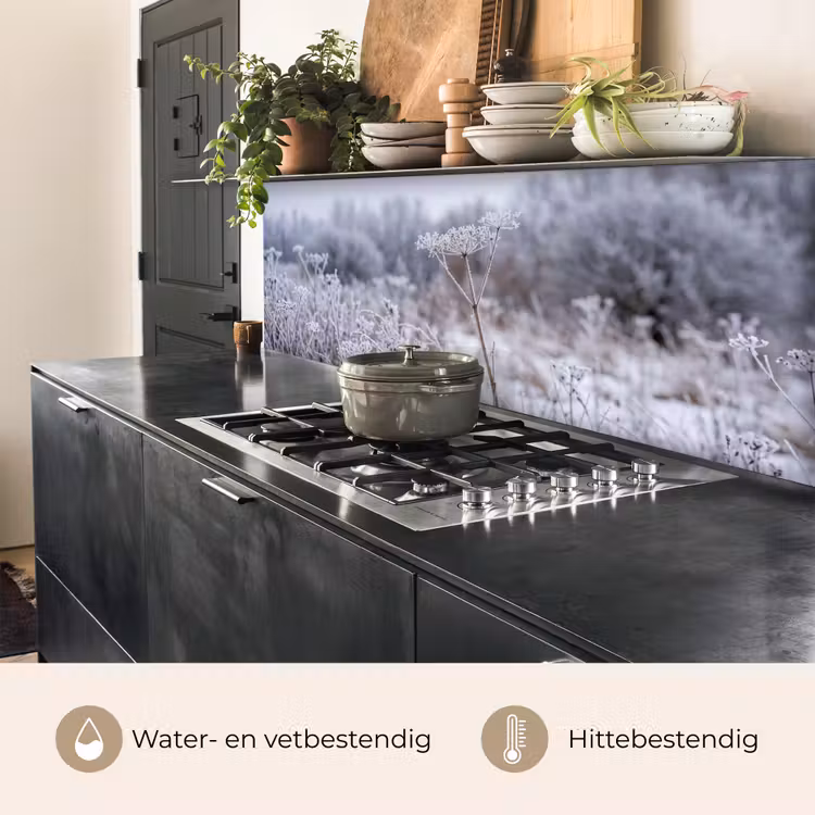 Schermbloem - Rijp - Kristallen - Winter - Delicaat keuken achterwand 2 middel -usp_NL