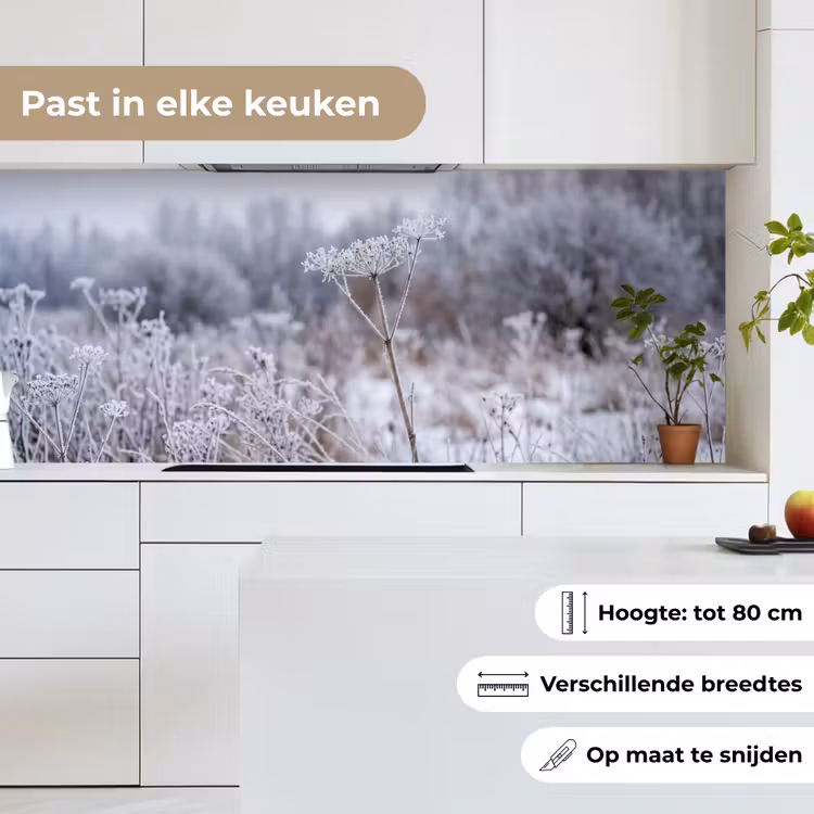 Schermbloem - Rijp - Kristallen - Winter - Delicaat keuken achterwand 2 middel -sfeer4_NL