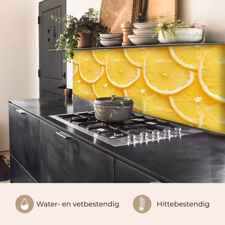 Schijfjes - Citroen - Sap keuken achterwand 2 middel 871 -usp_NL