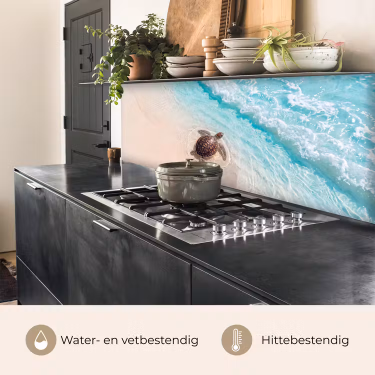 Schildpad - Helder water - Strand - Dieren - Natuur keuken achterwand 2 middel -usp_NL