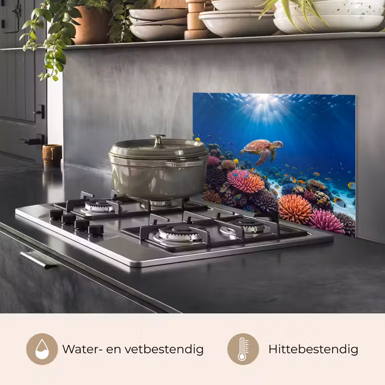 Schildpad - Koraalrif - Oceaan - Dieren - Blauw keuken achterwand spatscherm klein -usp_NL