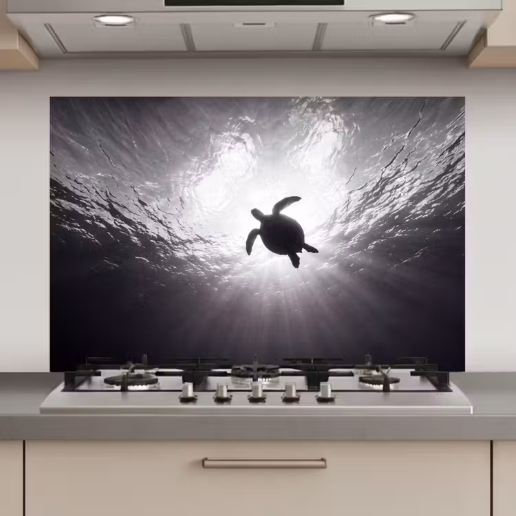 Schildpad - Onderwater - Lichtstralen - Oceaan - Zwart-wit keuken achterwand spatscherm klein -3d_website