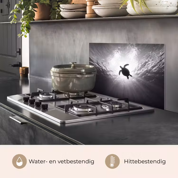 Schildpad - Onderwater - Lichtstralen - Oceaan - Zwart-wit keuken achterwand spatscherm klein -usp_NL