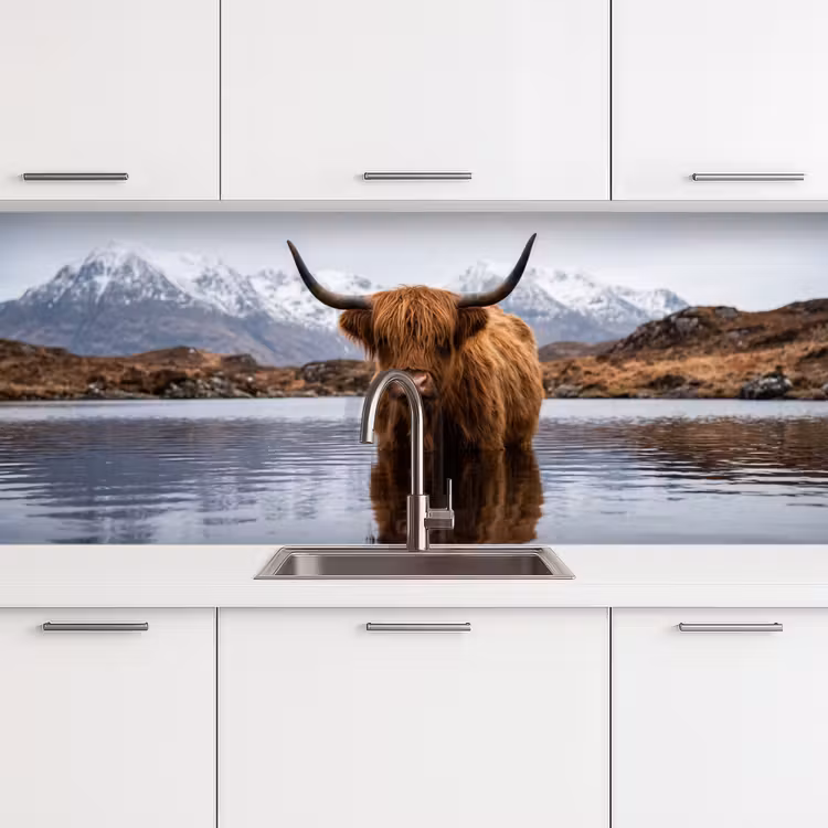 Schotse hooglander - Bruin - Water keuken achterwand 2 middel -3d