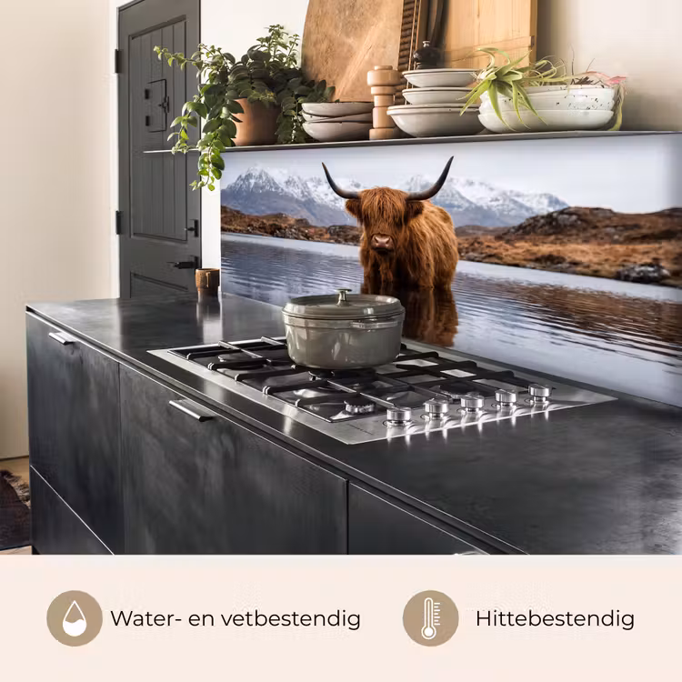 Schotse hooglander - Bruin - Water keuken achterwand 2 middel -usp_NL