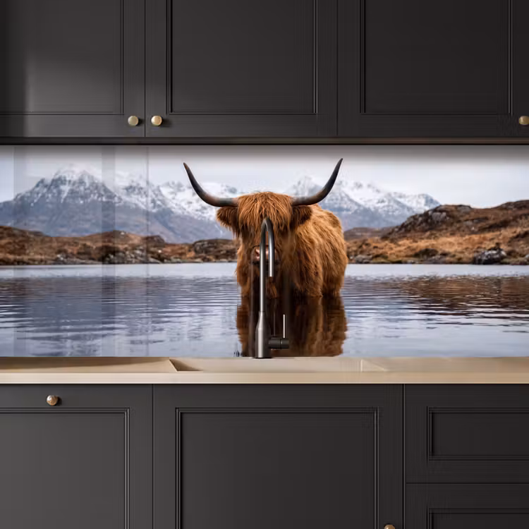 Schotse hooglander - Bruin - Water keuken achterwand 2 middel -sfeer1