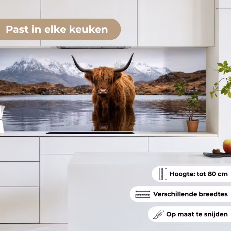 Schotse hooglander - Bruin - Water keuken achterwand 2 middel -sfeer4_NL