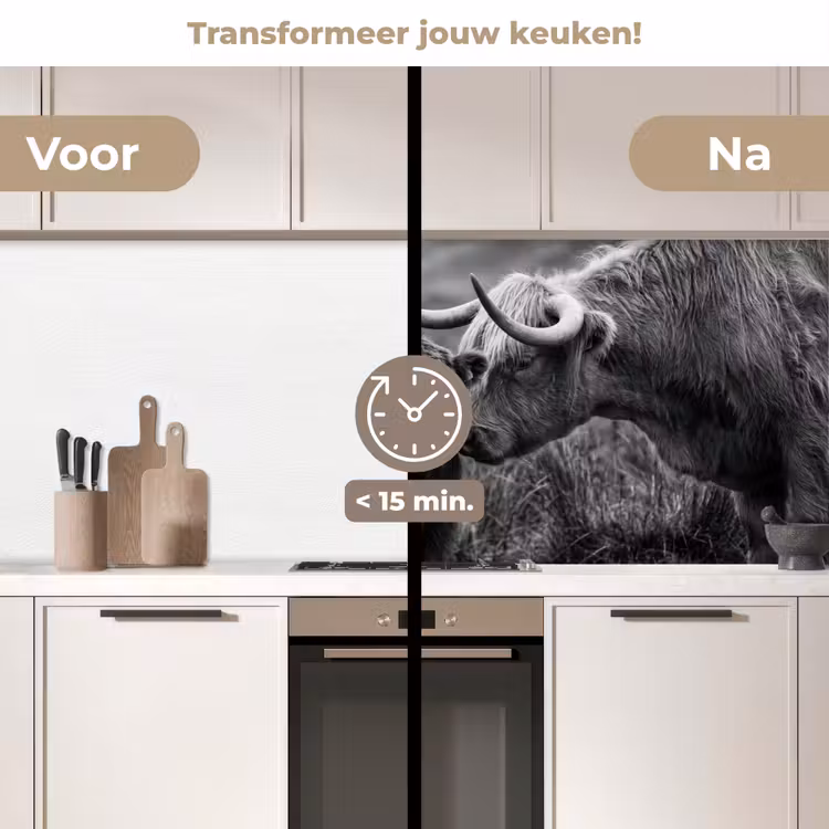 Schotse hooglander - Kalf - Zwart - Wit keuken achterwand 2 middel -voor-na2_NL