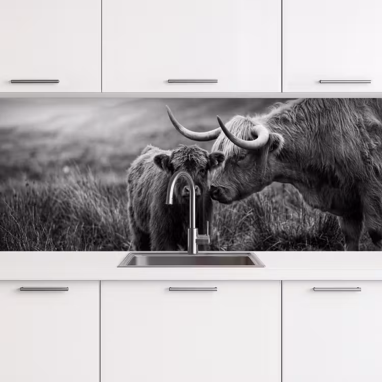 Schotse hooglander - Kalf - Zwart - Wit keuken achterwand 2 middel -3d