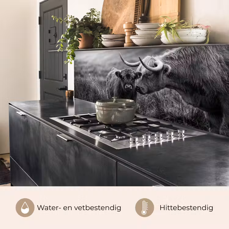 Schotse hooglander - Kalf - Zwart - Wit keuken achterwand 2 middel -usp_NL