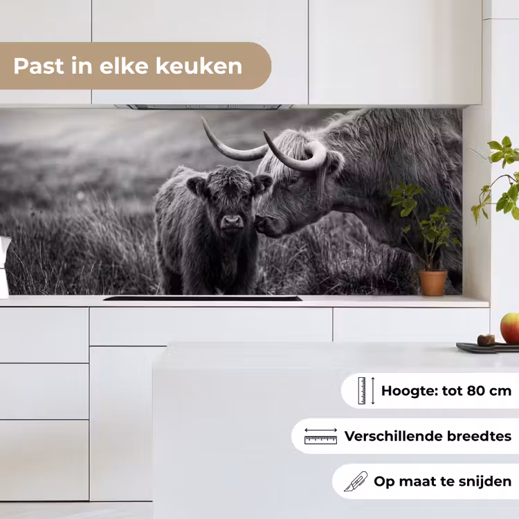 Schotse hooglander - Kalf - Zwart - Wit keuken achterwand 2 middel -sfeer4_NL