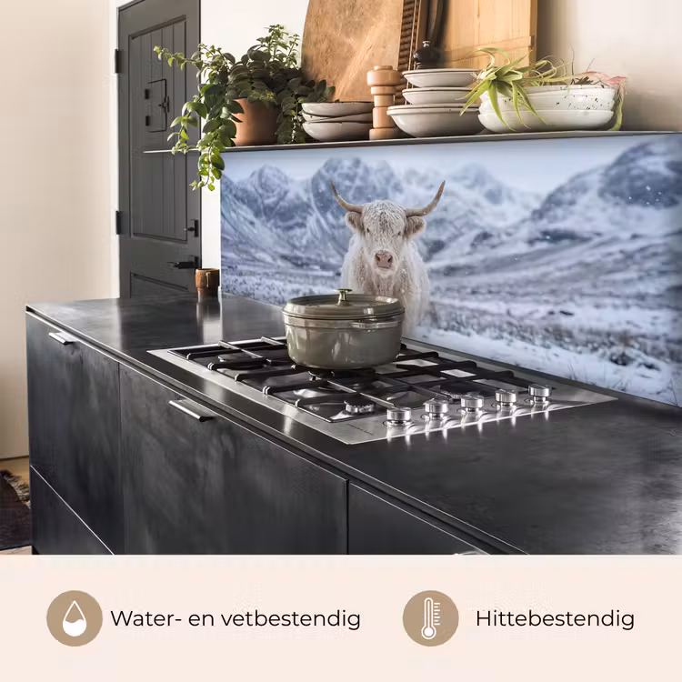 Schotse Hooglander - Sneeuw - Bergen - Winter keuken achterwand 2 middel -usp_NL