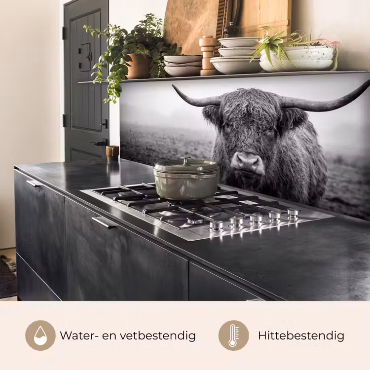 Schotse hooglander - Zwart - Wit - Gras keuken achterwand 2 middel -usp_NL