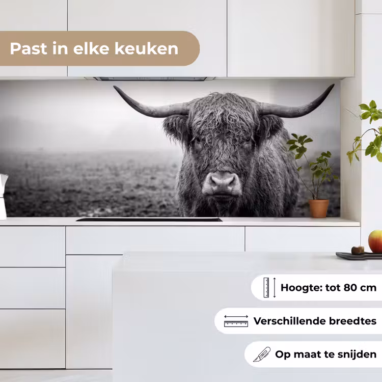 Schotse hooglander - Zwart - Wit - Gras keuken achterwand 2 middel -sfeer4_NL