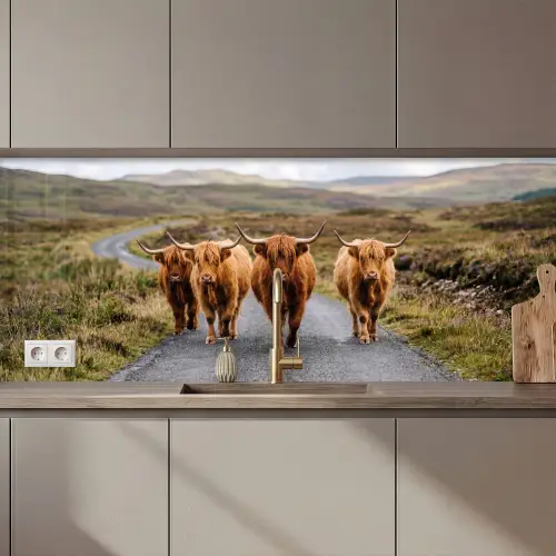 Keuken achterwand - Schotse Hooglanders - Weg - Landschap - Kudde