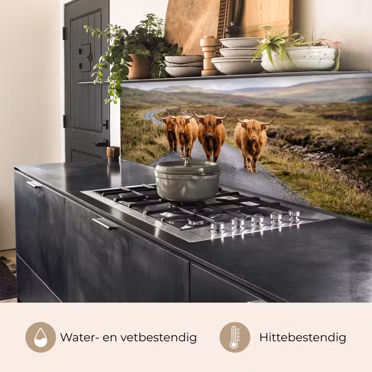 Schotse Hooglanders - Weg - Landschap - Kudde keuken achterwand 2 middel -usp_NL