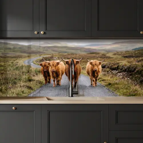 Schotse Hooglanders - Weg - Landschap - Kudde keuken achterwand 2 middel -sfeer1