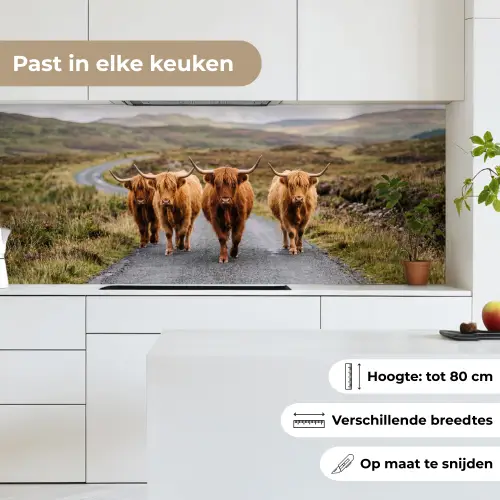 Schotse Hooglanders - Weg - Landschap - Kudde keuken achterwand 2 middel -sfeer4_NL