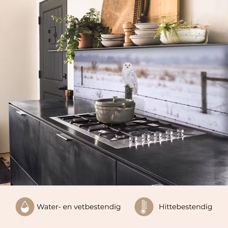 Sneeuwuil - Hek - Sneeuw - Wit keuken achterwand 2 middel -usp_NL