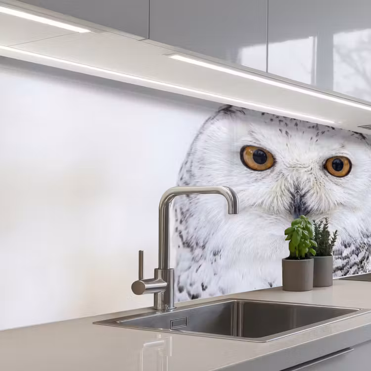 Sneeuwuil - Oog - Wildlife - Wit keuken achterwand 2 middel -3d_schuin