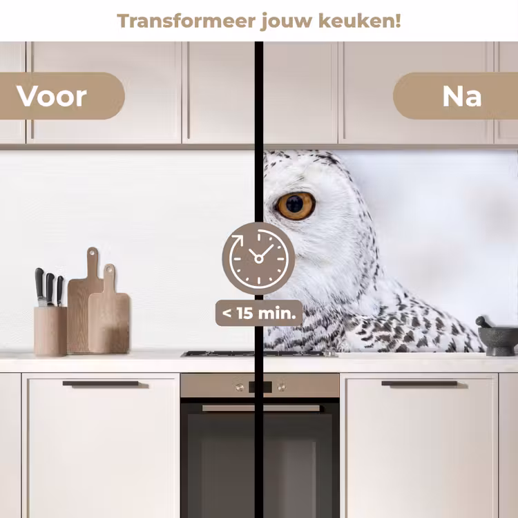 Sneeuwuil - Oog - Wildlife - Wit keuken achterwand 2 middel -voor-na2_NL