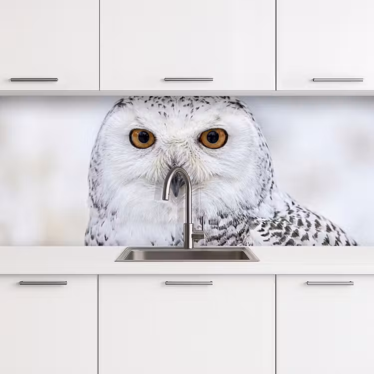 Sneeuwuil - Oog - Wildlife - Wit keuken achterwand 2 middel -3d