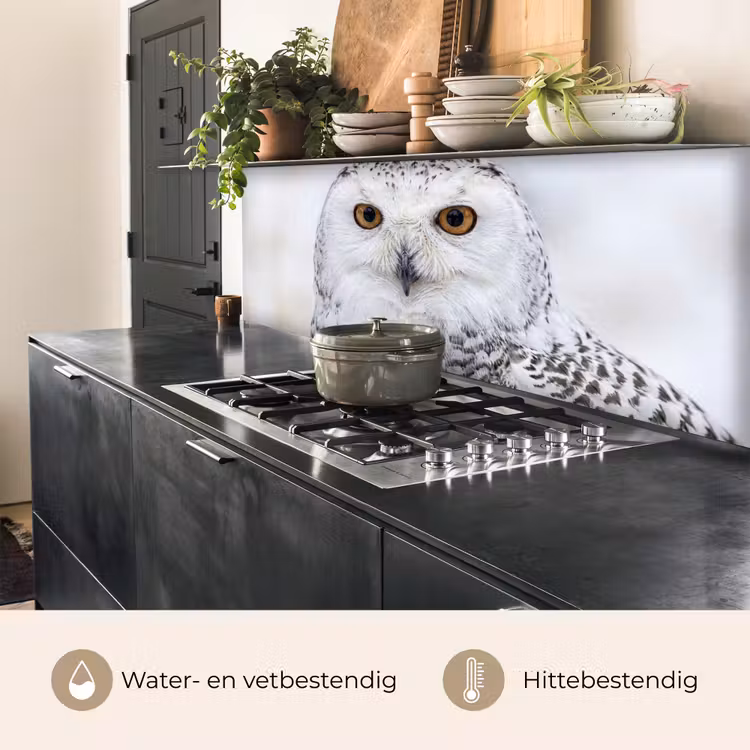 Sneeuwuil - Oog - Wildlife - Wit keuken achterwand 2 middel -usp_NL
