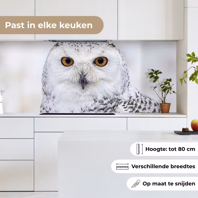 Sneeuwuil - Oog - Wildlife - Wit keuken achterwand 2 middel -sfeer4_NL