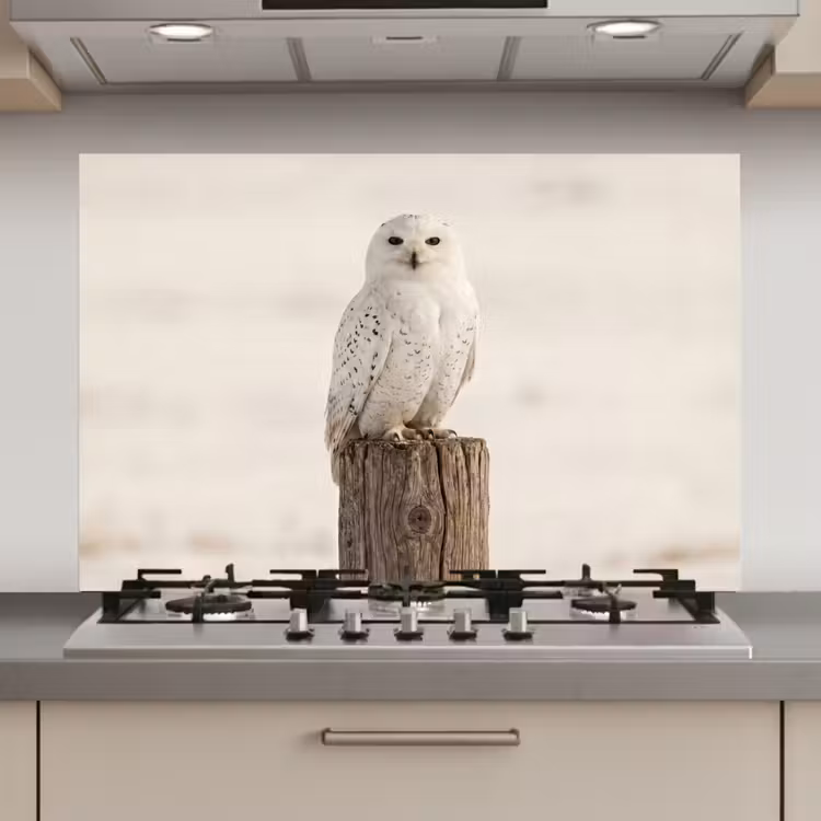 Sneeuwuil - Paal - Winter - Portret - Majestueus keuken achterwand 2 middel zz_3dshopping