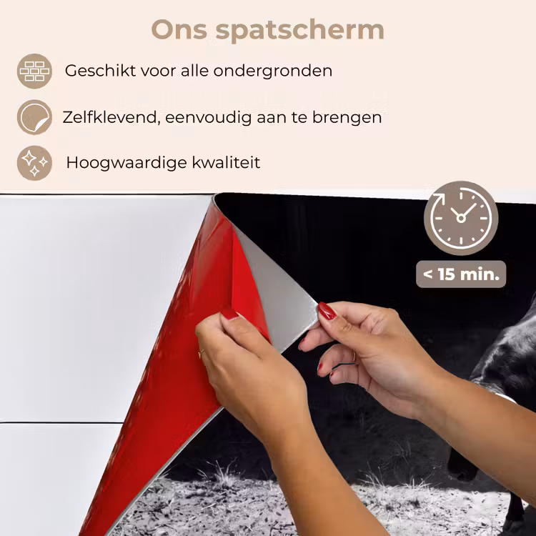 Stier - Schaduw - Dieren - Contrast - Zwart-wit keuken achterwand spatscherm klein -spatscherm_NL