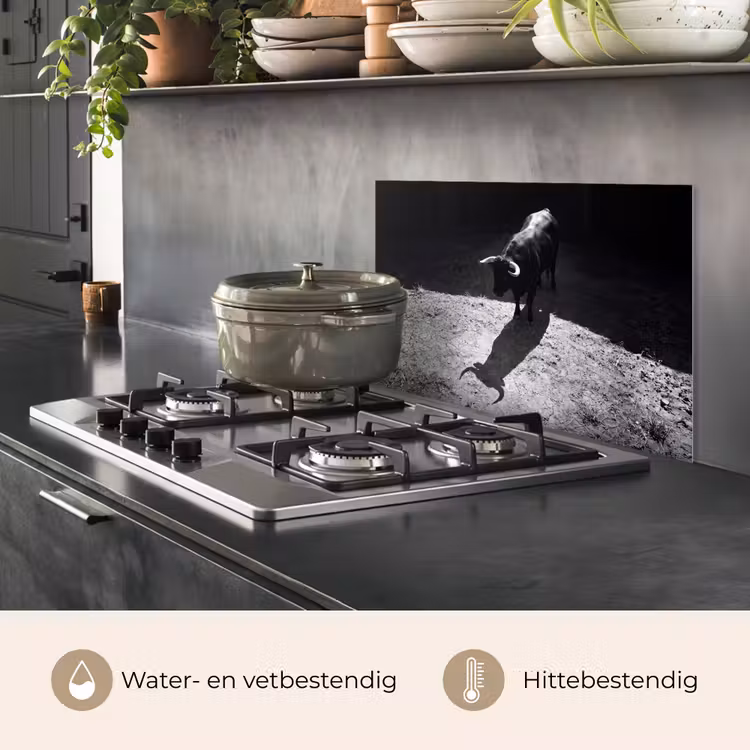 Stier - Schaduw - Dieren - Contrast - Zwart-wit keuken achterwand spatscherm klein -usp_NL