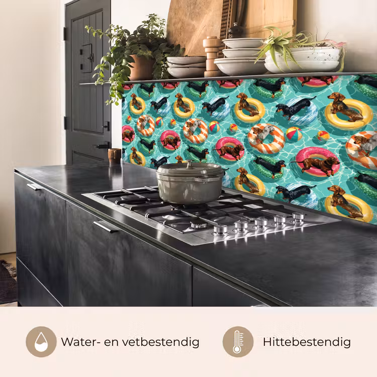 Teckels - Zwembad - Kleurrijk keuken achterwand 2 middel 871 -usp_NL