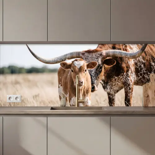 Keuken achterwand - Texas Longhorn - Kalf - Weide - Dieren