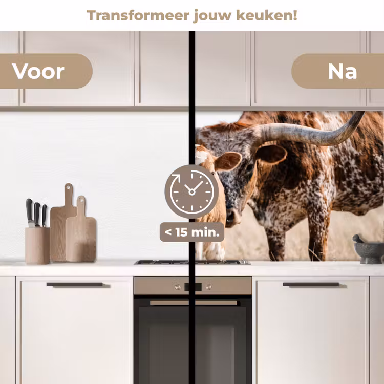 Texas Longhorn - Kalf - Weide - Dieren keuken achterwand 2 middel -voor-na2_NL