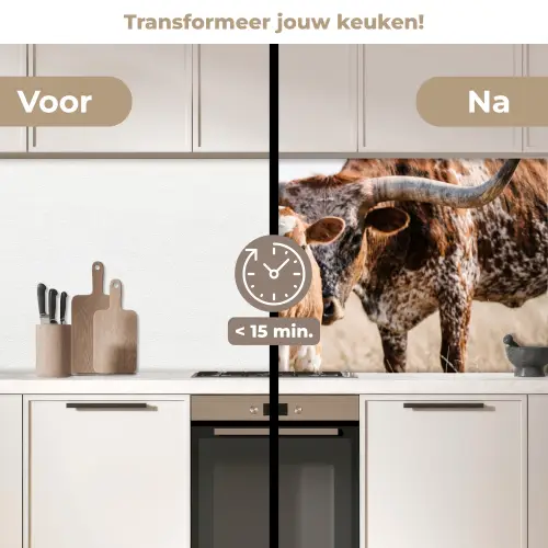 Texas Longhorn - Kalf - Weide - Dieren keuken achterwand 2 middel -voor-na2_NL