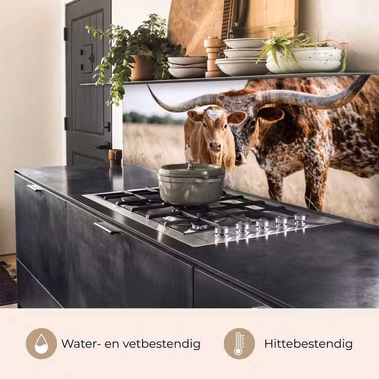Texas Longhorn - Kalf - Weide - Dieren keuken achterwand 2 middel -usp_NL