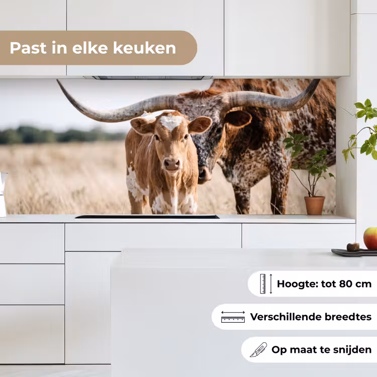 Texas Longhorn - Kalf - Weide - Dieren keuken achterwand 2 middel -sfeer4_NL