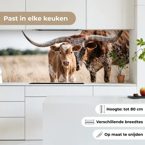 Texas Longhorn - Kalf - Weide - Dieren keuken achterwand 2 middel -sfeer4_NL