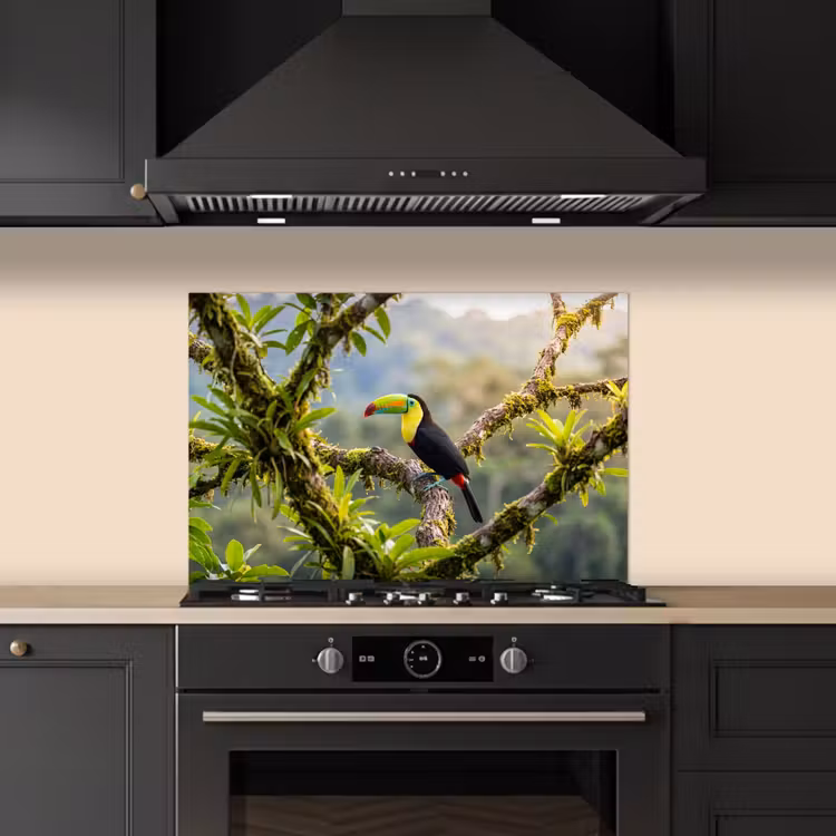 Toekan - Jungle - Natuur - Kleurrijk keuken achterwand 2 middel -3d_schuin