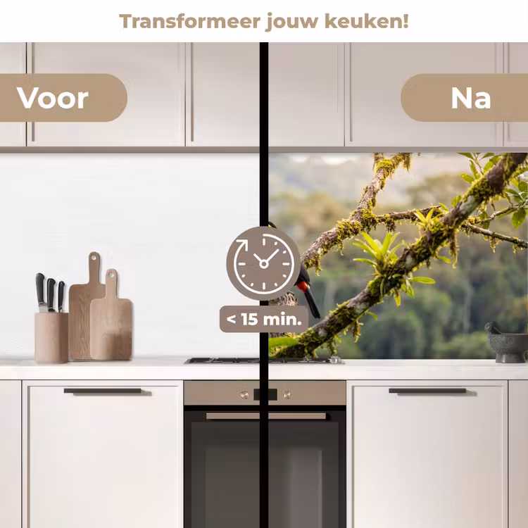 Toekan - Jungle - Natuur - Kleurrijk keuken achterwand 2 middel -voor-na2_NL