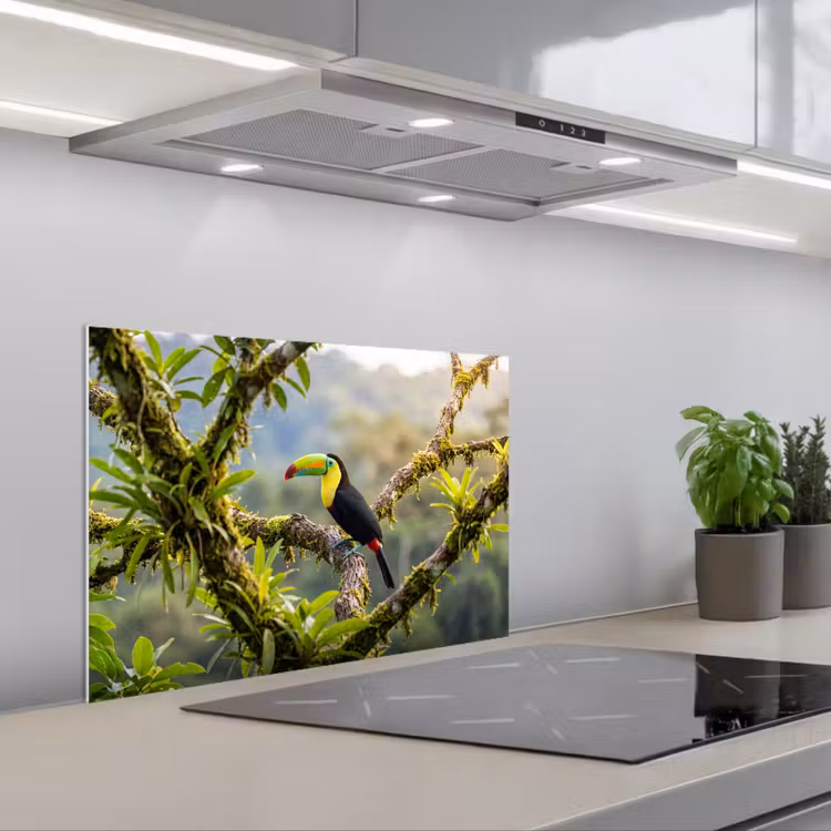 Toekan - Jungle - Natuur - Kleurrijk keuken achterwand 2 middel -usp_NL