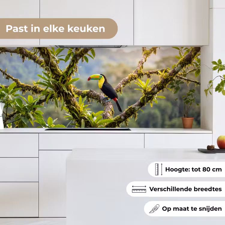 Toekan - Jungle - Natuur - Kleurrijk keuken achterwand 2 middel -sfeer4_NL