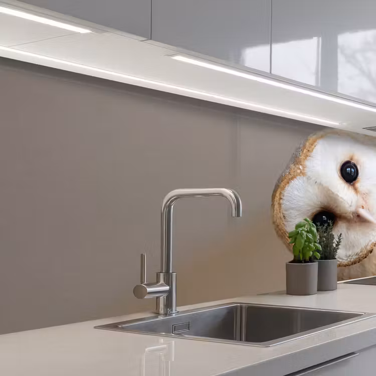 Uil - Bruin - Wit keuken achterwand 2 middel -3d_schuin