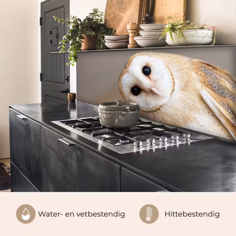 Uil - Bruin - Wit keuken achterwand 2 middel -usp_NL