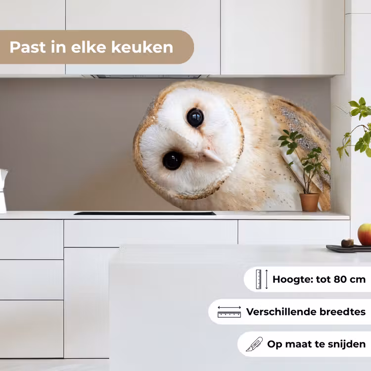 Uil - Bruin - Wit keuken achterwand 2 middel -sfeer4_NL