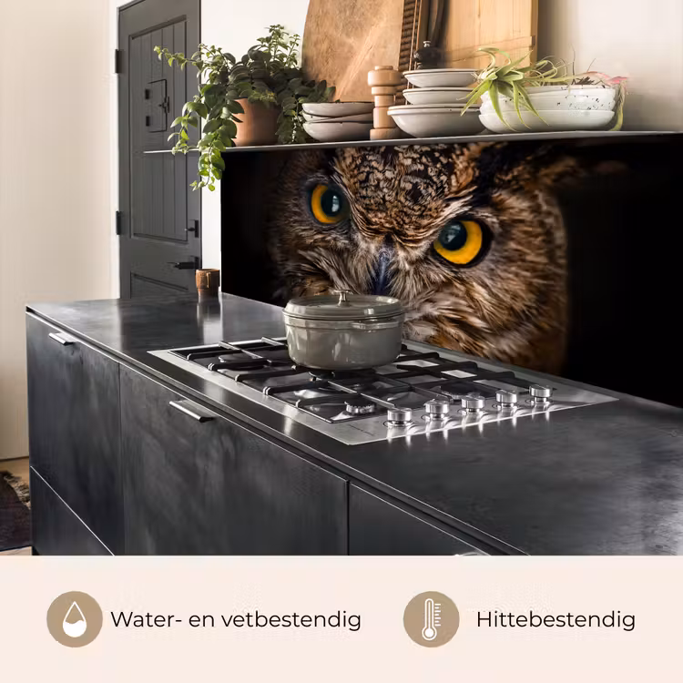 Uil - Dier - Oranje keuken achterwand 2 middel -usp_NL