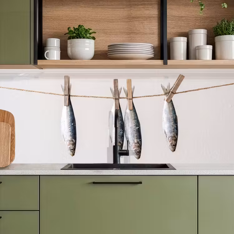 Keuken achterwand - Vis - Hangend - Eten - Vis - Hangend - Eten keuken achterwand 2 middel